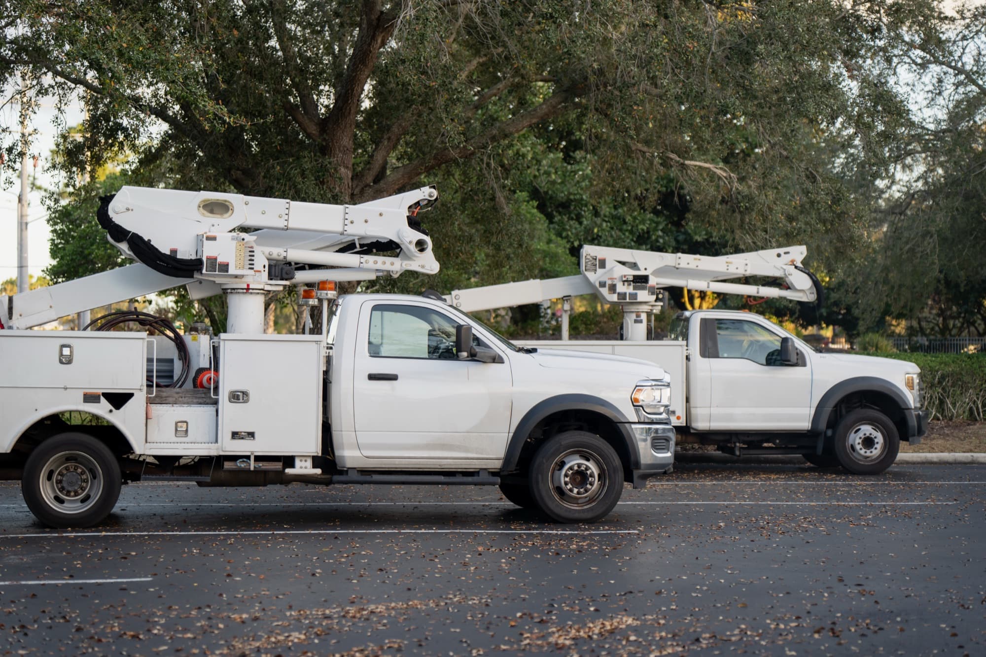 Worldwide Property Services fleet